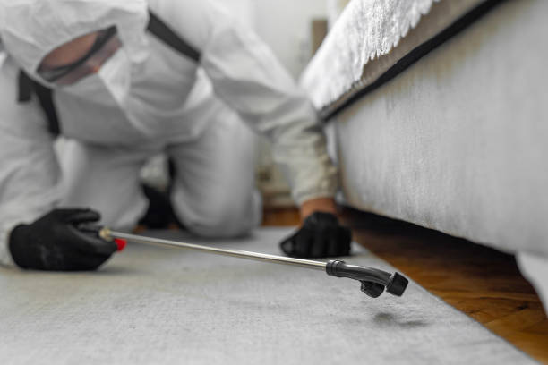 Professional Bed Bug Control technician working in Beaufort, NC